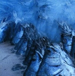 Кошмар Дарвина (2004) смотреть онлайн Кошмар Дарвина (2004) фильм смотреть онлайн