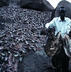 Кошмар Дарвина (2004) смотреть онлайн бесплатно Кошмар Дарвина (2004) фильм смотреть онлайн бесплатно