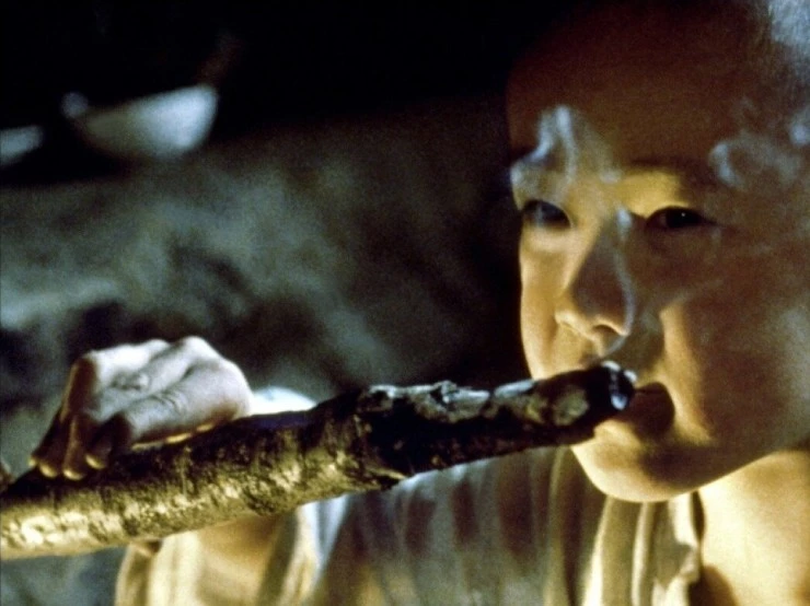 Почему Бодхидхарма ушел на Восток? (1989) смотреть онлайн Почему Бодхидхарма ушел на Восток? (1989) фильм смотреть онлайн