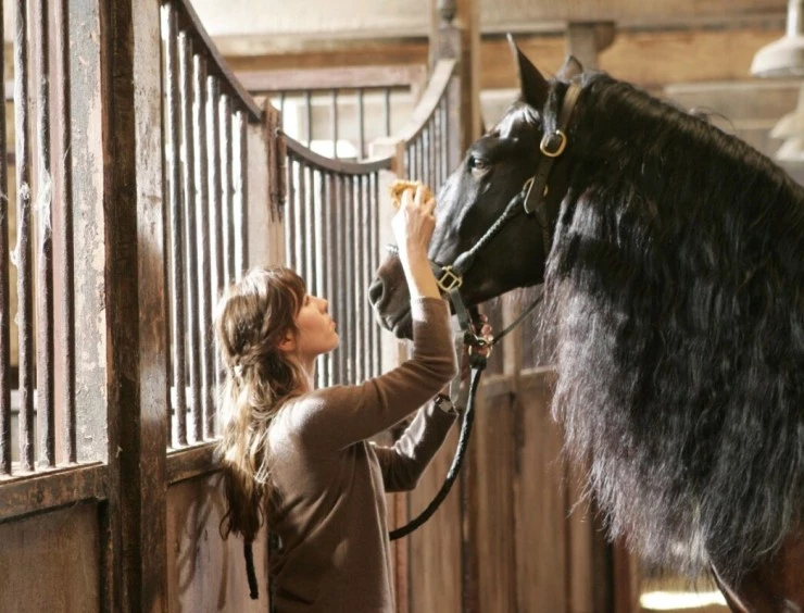 Танцуй с ним (2007) в хорошем качестве смотреть онлайн Танцуй с ним (2007) фильм в хорошем качестве смотреть онлайн