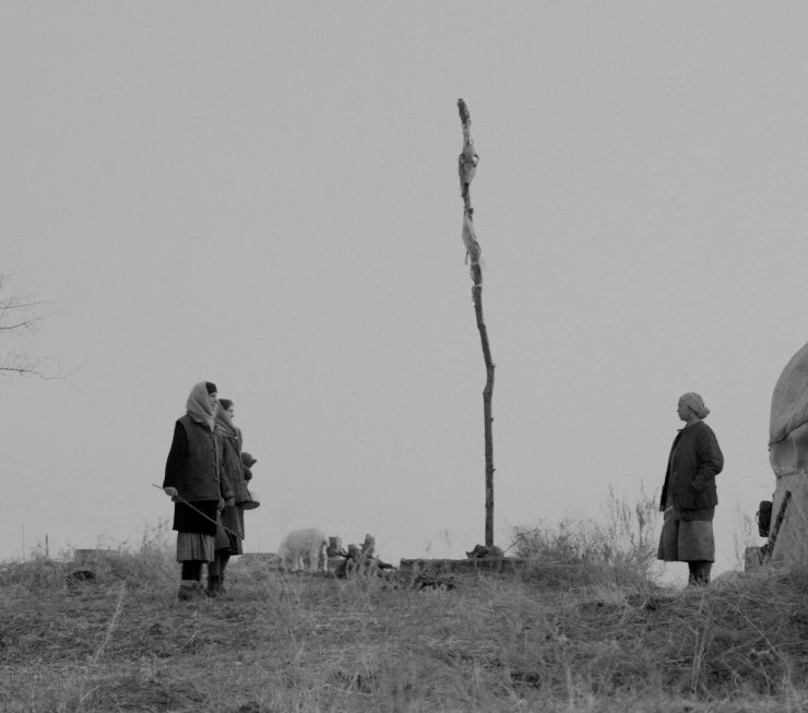 Эвакуация (2025) смотреть онлайн Эвакуация (2025) фильм смотреть онлайн