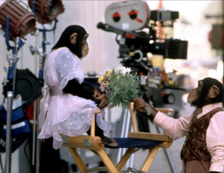 Бадди (1997) смотреть онлайн бесплатно Бадди (1997) фильм смотреть онлайн бесплатно