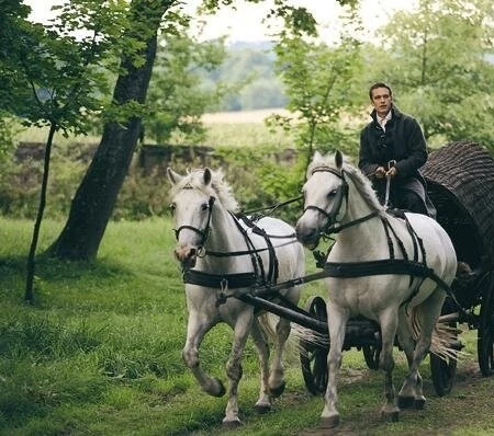 Пан Тадеуш (1999) смотреть онлайн Пан Тадеуш (1999) фильм смотреть онлайн