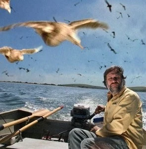 Киногид извращенца (2006) смотреть онлайн бесплатно Киногид извращенца (2006) фильм смотреть онлайн бесплатно