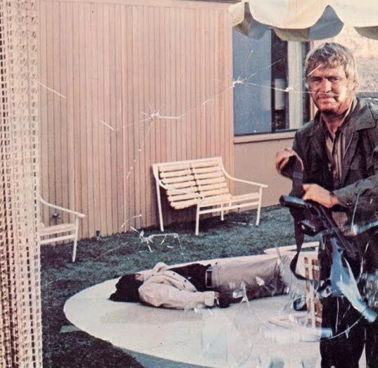 Закон Ньюмена (1974) в хорошем качестве смотреть онлайн Закон Ньюмена (1974) фильм в хорошем качестве смотреть онлайн