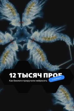 12 тысяч проб (2022) фильм смотреть онлайн в хорошем качестве