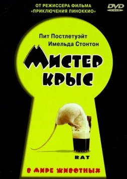 Мистер крыс / Rat (2000) фильм смотреть онлайн Мистер крыс / Rat (2000) фильм смотреть онлайн в хорошем качестве