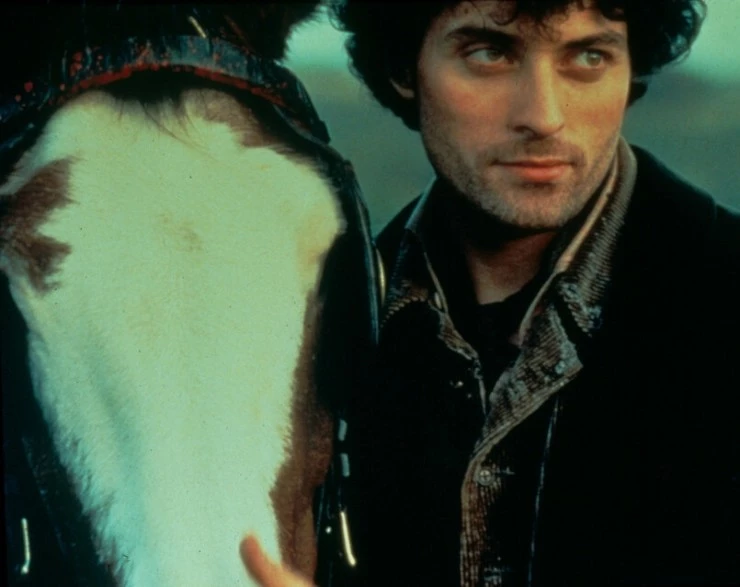 В краю лесов (1997) смотреть онлайн В краю лесов (1997) фильм смотреть онлайн