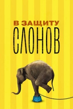 В защиту слонов / An Apology to Elephants (2013) фильм смотреть онлайн в хорошем качестве