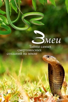 Змеи. Тайны самых смертоносных созданий на земле / Snakes, Secrets of Nature's Deadliest Creatures (2014) фильм смотреть онлайн в хорошем качестве
