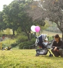 Налево, направо (2003) смотреть онлайн бесплатно Налево, направо (2003) фильм смотреть онлайн бесплатно