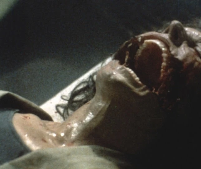 Ночной полёт (1987) в хорошем качестве смотреть онлайн Ночной полёт (1987) фильм в хорошем качестве смотреть онлайн