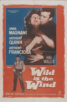 Дикий ветер / Wild Is the Wind (1957) фильм смотреть онлайн в хорошем качестве