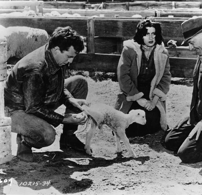 Дикий ветер (1957) смотреть онлайн Дикий ветер (1957) фильм смотреть онлайн