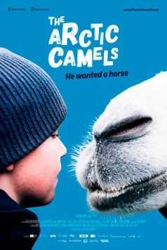 Мой друг северный верблюд / The Arctic Camels (2019) фильм смотреть онлайн в хорошем качестве