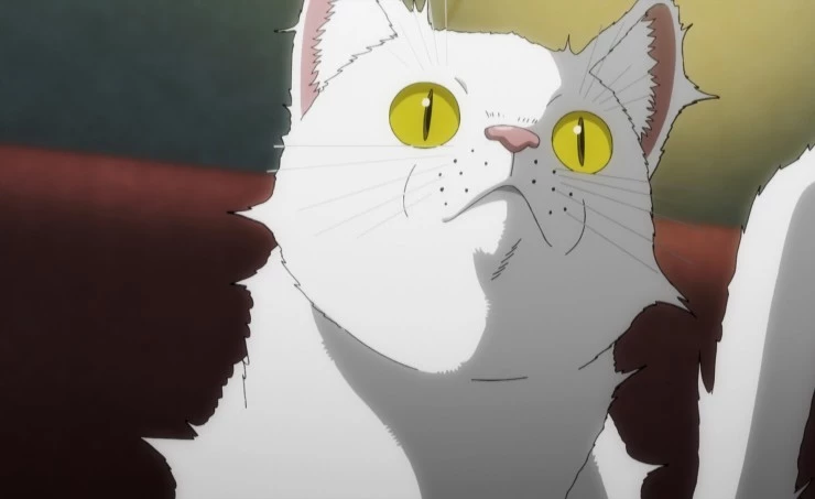 Ночь живых кошаков (2025) 1 сезон 1-10,11,12 серия смотреть онлайн бесплатно Ночь живых кошаков (2025) мультфильм 1-10,11,12 серию 1 сезона смотреть онлайн бесплатно