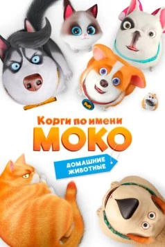 Корги по имени Моко. Домашние животные / Flying MOCO - Pet House (2019) мультфильм смотреть онлайн в хорошем качестве