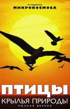 Птицы: Крылья природы / Les ailes de la nature (2002) cериал смотреть онлайн Птицы: Крылья природы / Les ailes de la nature (2002) cериал смотреть онлайн в хорошем качестве