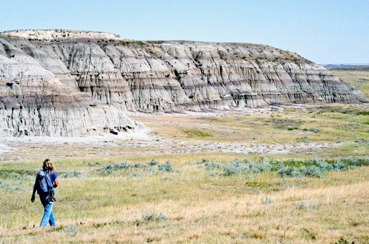 Динозавр 13 (2014) смотреть онлайн бесплатно Динозавр 13 (2014) фильм смотреть онлайн бесплатно