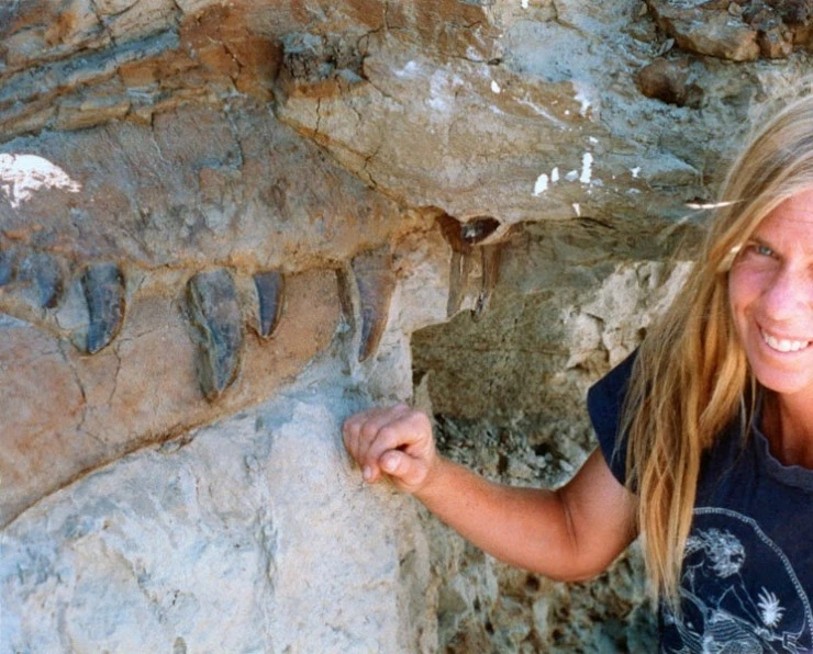 Динозавр 13 (2014) в хорошем качестве смотреть онлайн Динозавр 13 (2014) фильм в хорошем качестве смотреть онлайн