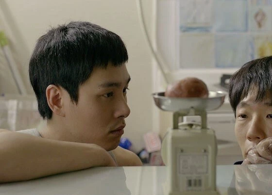 Коала (2013) смотреть онлайн Коала (2013) фильм смотреть онлайн