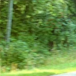 Спасай, кто может (1980) смотреть онлайн бесплатно Спасай, кто может (1980) фильм смотреть онлайн бесплатно