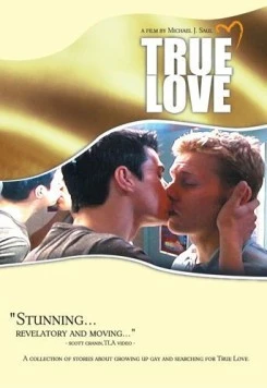Истинная любовь / True Love (2004) фильм смотреть онлайн в хорошем качестве