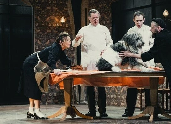 TheatreHD: Собачье сердце (2025) в хорошем качестве смотреть онлайн TheatreHD: Собачье сердце (2025) фильм в хорошем качестве смотреть онлайн