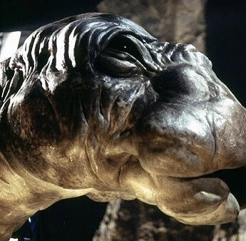 Динозавр Ми-ши: Хозяин озера (2005) смотреть онлайн Динозавр Ми-ши: Хозяин озера (2005) фильм смотреть онлайн