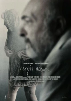 Госпожа Нергиз / Nergis Hanim (2014) фильм смотреть онлайн в хорошем качестве