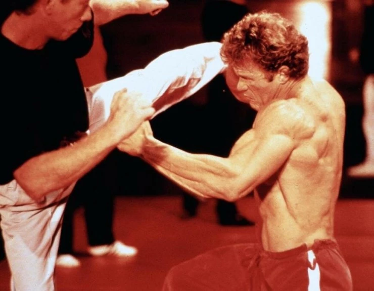 Полицейский вне закона (1993) смотреть онлайн Полицейский вне закона (1993) фильм смотреть онлайн