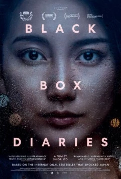 Дневники чёрного ящика / Black Box Diaries (2024) фильм смотреть онлайн в хорошем качестве