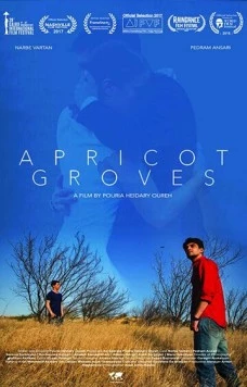 Абрикосовые рощи / Apricot Groves (2016) фильм смотреть онлайн в хорошем качестве