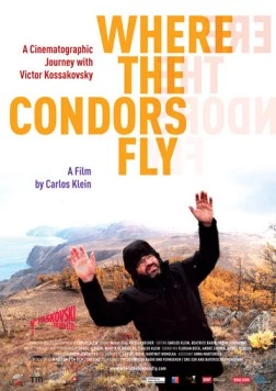 Там, где летают кондоры / Where the Condors Fly (2012) фильм смотреть онлайн в хорошем качестве