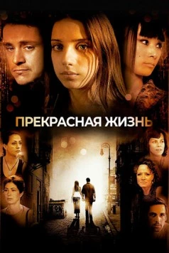 Прекрасная жизнь / A Beautiful Life (2008) фильм смотреть онлайн в хорошем качестве
