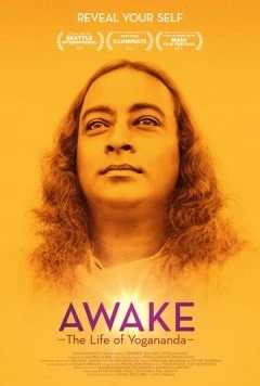 Осознание: Жизнь Йогананды / Awake: The Life of Yogananda (2014) фильм смотреть онлайн в хорошем качестве