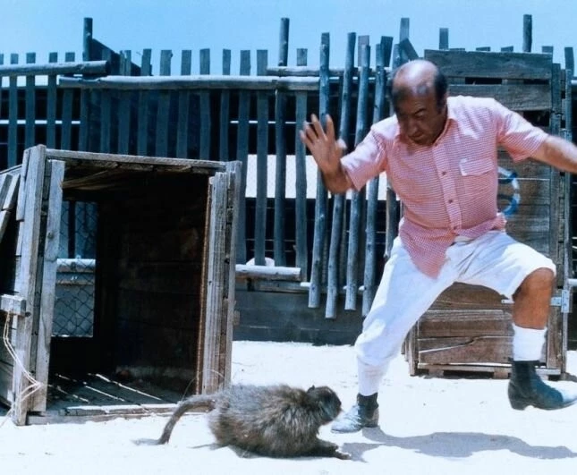 Громила в Африке (1978) смотреть онлайн Громила в Африке (1978) фильм смотреть онлайн