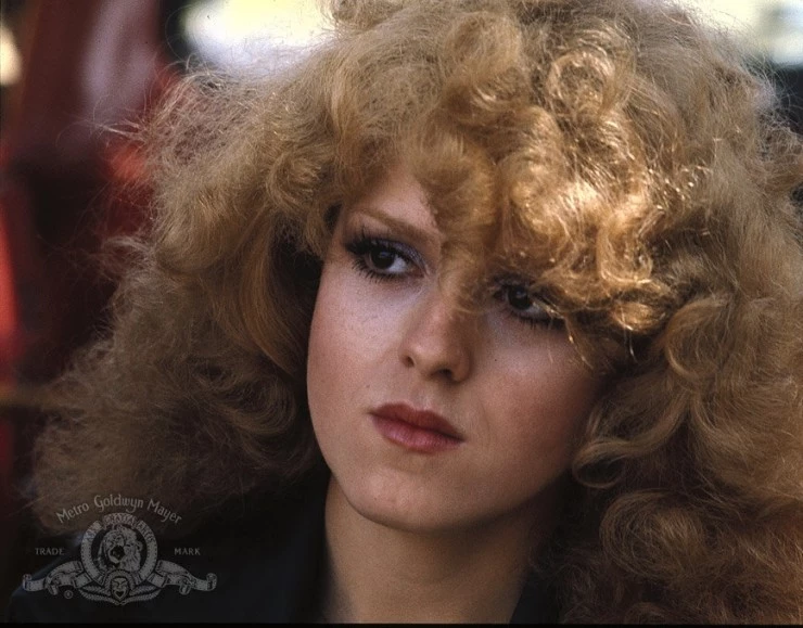 Банда защитников (1976) в хорошем качестве смотреть онлайн Банда защитников (1976) фильм в хорошем качестве смотреть онлайн