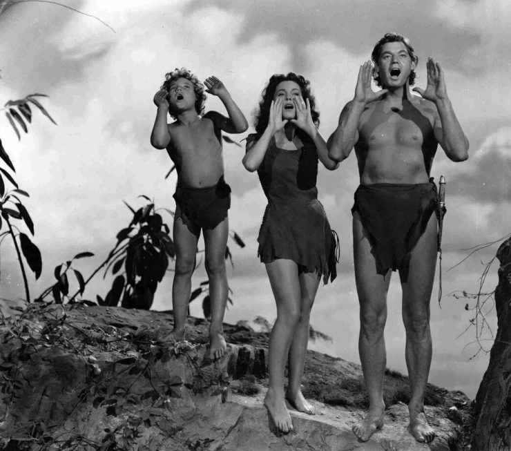 Тайное сокровище Тарзана (1941) смотреть онлайн Тайное сокровище Тарзана (1941) фильм смотреть онлайн