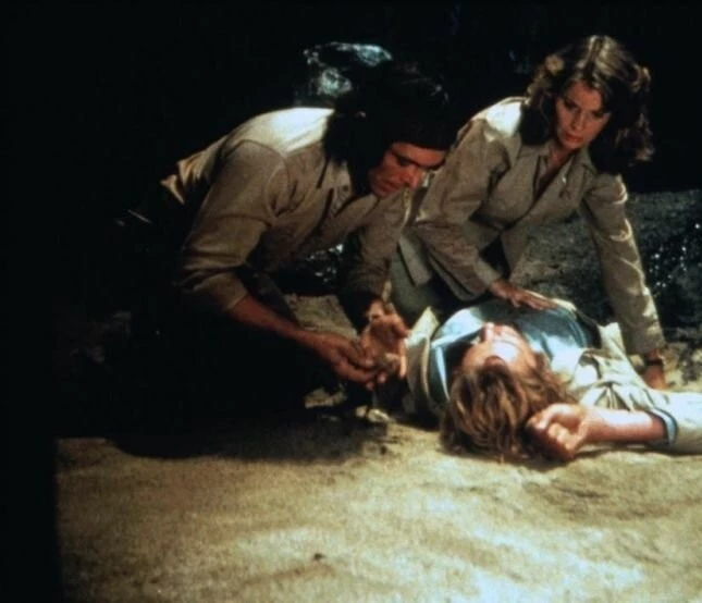 Ночное крыло (1979) смотреть онлайн бесплатно Ночное крыло (1979) фильм смотреть онлайн бесплатно