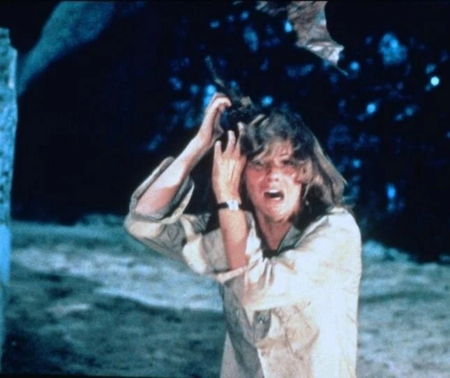 Ночное крыло (1979) смотреть онлайн Ночное крыло (1979) фильм смотреть онлайн