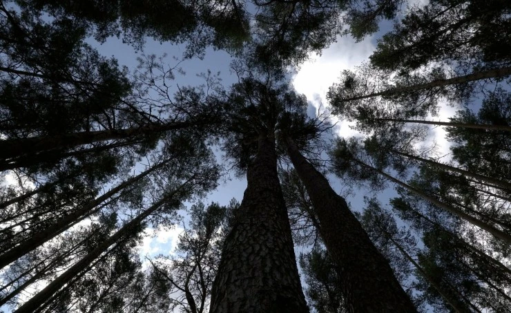 Селигерье (2023) смотреть онлайн Селигерье (2023) фильм смотреть онлайн