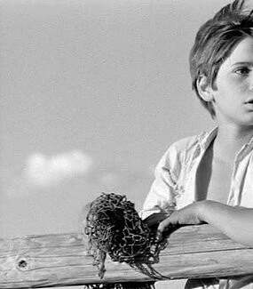 Белая грива: Дикая лошадь (1953) в хорошем качестве смотреть онлайн Белая грива: Дикая лошадь (1953) фильм в хорошем качестве смотреть онлайн