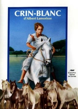 Белая грива: Дикая лошадь / Crin blanc: Le cheval sauvage (1953) фильм смотреть онлайн в хорошем качестве