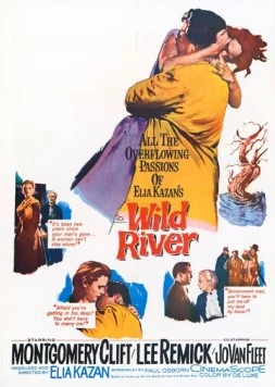 Дикая река / Wild River (1960) фильм смотреть онлайн в хорошем качестве
