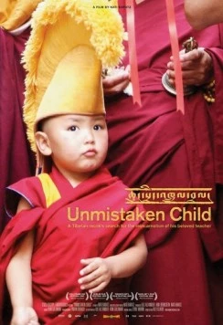 Избранный / Unmistaken Child (2008) фильм смотреть онлайн в хорошем качестве