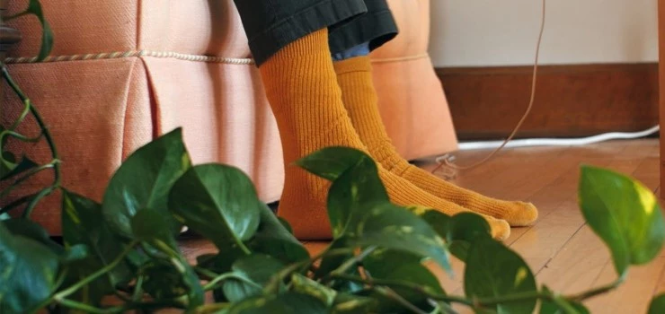 Больше света (2023) в хорошем качестве смотреть онлайн Больше света (2023) фильм в хорошем качестве смотреть онлайн