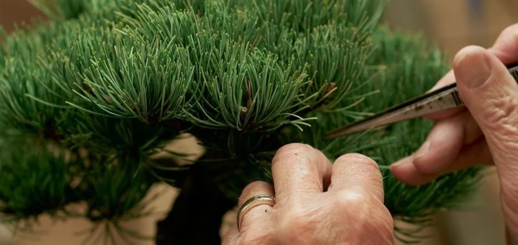 Больше света (2023) смотреть онлайн бесплатно Больше света (2023) фильм смотреть онлайн бесплатно