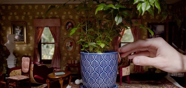 Больше света (2023) смотреть онлайн Больше света (2023) фильм смотреть онлайн