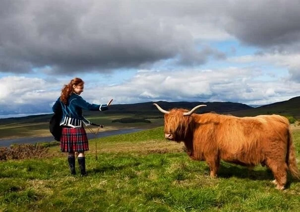 Имоджен МакКартери (2010) в хорошем качестве смотреть онлайн Имоджен МакКартери (2010) фильм в хорошем качестве смотреть онлайн